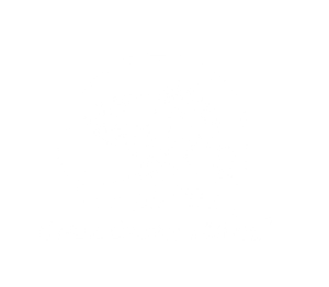 White Background (3)