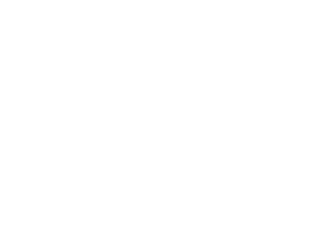 White Background (7)